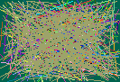 net detective software